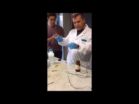 La pigmentazione su una faccia combatte metodi Matita per eliminazione di posti di pigmentary