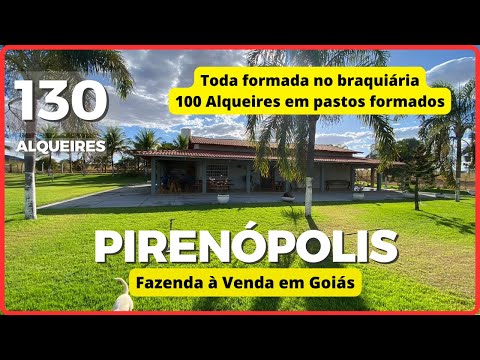 🛑VENDIDA! 130 ALQ EM PIRENÓPOLIS - FAZENDA À VENDA EM GOIÁS [🌱DUPLA APTIDÃO🐄] 62.99972-2000 #agro
