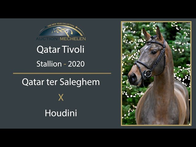 Qatar Tivoli