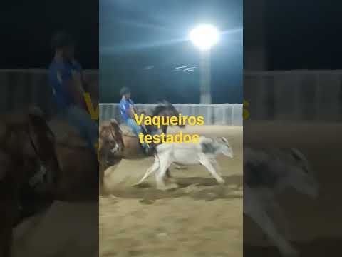 vaqueiros testados Parari Paraíba