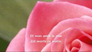 "Mon Amie La Rose"   -   ( Françoise  Hardy )