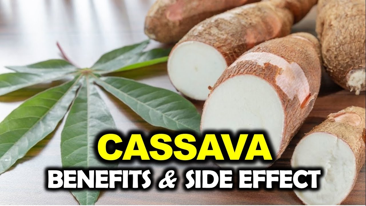 Cassava Benefits and Side Effects