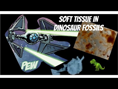 What does science say about the discovery of soft tissues in dinosaur bones 🦕🙀
