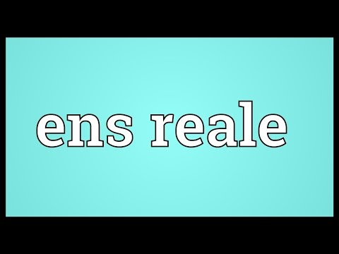 Ens reale Meaning