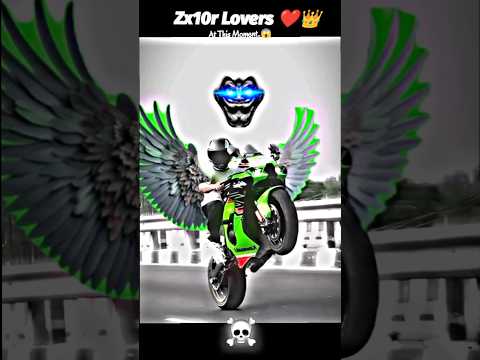 Zx10r Lover ❤️👑 #rider #stunt #bikerider #ninjazx10r #bike #race #shorts