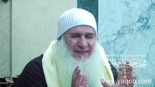 صورة 3 - الأسد | ثٌمٌر