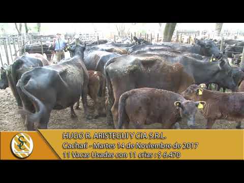 14-11-17 Venta de Vientres - Hugo R. Aristegui y Cia S.R.L. - Cacharì.