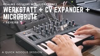 Video thumbnail for Werkstatt-01 + CV Expander + Microbrute : A Quick Noodle Session by Realms Official Music