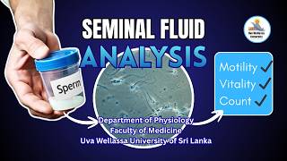 Seminal Fluid Analysis