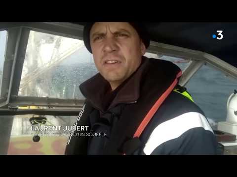 L'image du jour du 10.11.2018