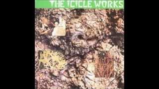 The Icicle Works - factory in the desert