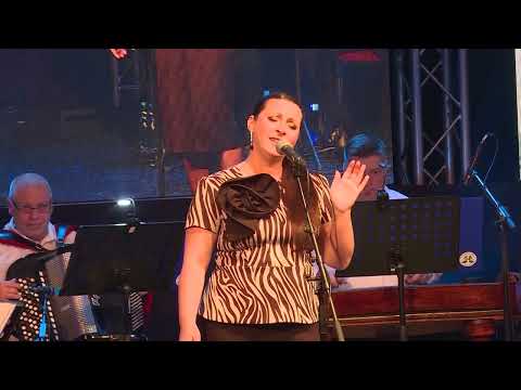 Sanja Divljaković - Bili orgoni