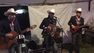 Los Amigueros de la Sierra - Una Sola Caida (En Vivo)