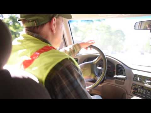 Gas leaks killing trees in Worcester