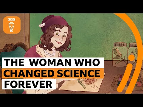 瑪麗亞-西比拉-梅里安：永遠改變了科學的女人 | BBC創意 (Maria Sibylla Merian: The woman who changed science forever | BBC Ideas)