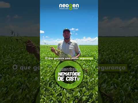 O campo tá on em Acreúna, Goiás com a NEO791 CE! 🚀 #shorts