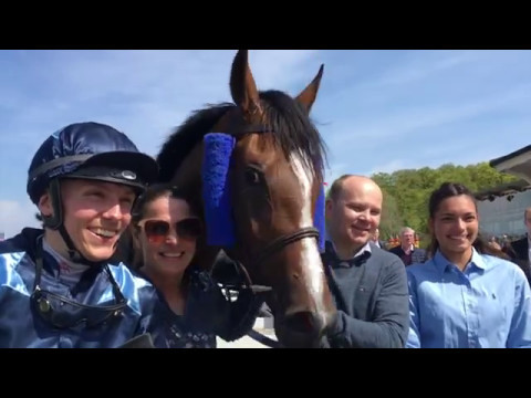 Mowerinaløb 2017 Intensity