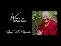 46. What is the Refuge Tree? | Answers for Beginners | Ringu Tulku Rinpoche