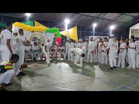 Alegria do Mestre Canjiquinha e Mestre Roque, Boa Nova Bahia. Formatura de Contra Mestre 2026