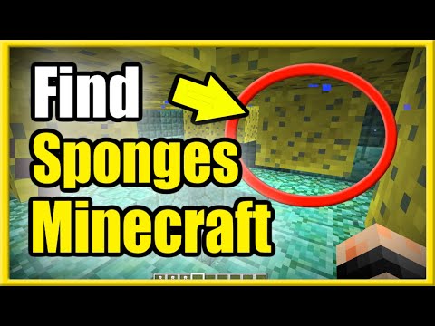 2 Ways to Get a Sponge in Minecraft (Find SPONGE ROOM & Slay Elder Guardian)
