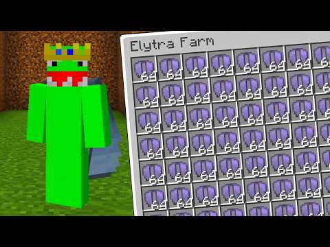 I UPGRADED The Elytra Farm On The DonutSMP