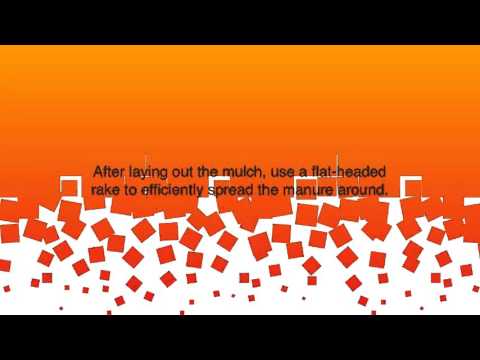 Organic Gardening Basics At Home