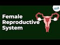 Female Reproductive System Infinity Learn NEET