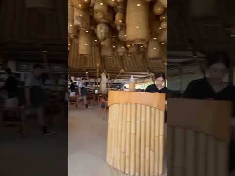 Day scenes at the beach club #canggu  #bali #finnsbeachclub #reels