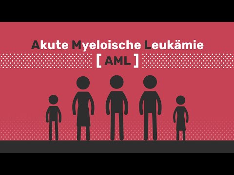 Akute myeloische Leukämie – Überblick
