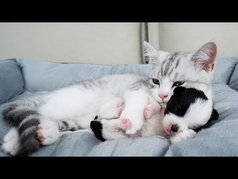 image : Tendresse