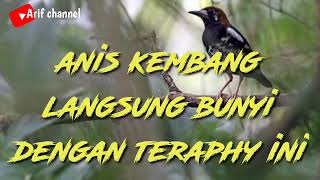 Download lagu Pancingan ANIS Kembang dijamin cepat bunyi dan Gacor mp3