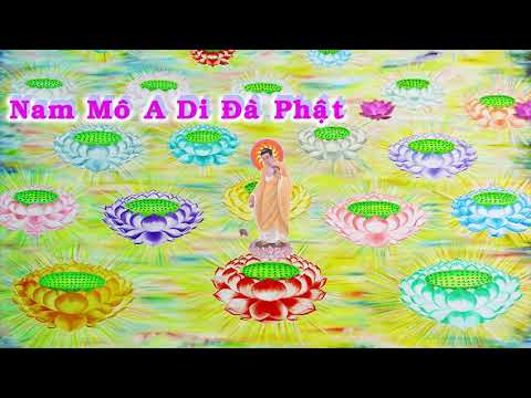HD | Kinh A Di Đà Sớ Sao Diễn Nghĩa, tập 114 [phụ đề] - Lão Pháp Sư Tịnh Không