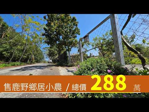 鹿野鄉-大原段農地出售 第1張共11張