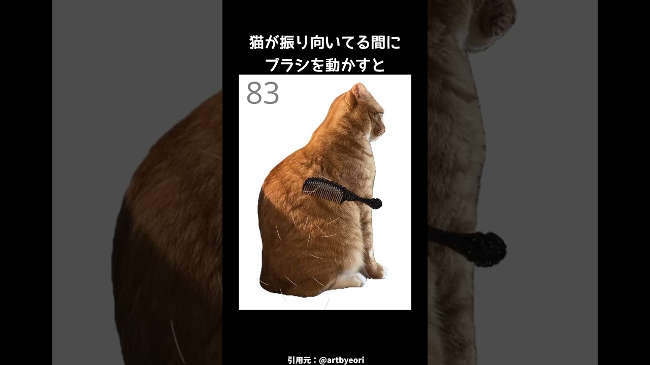 Brush Jjaemu Gameplay Video