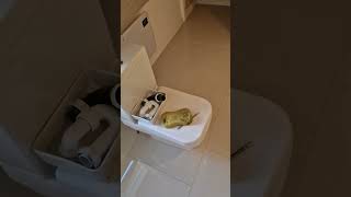 Album cover: Full renovation 