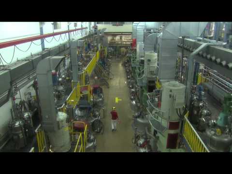 Sandoz Kundl - Trigos Tirol - Ökologie