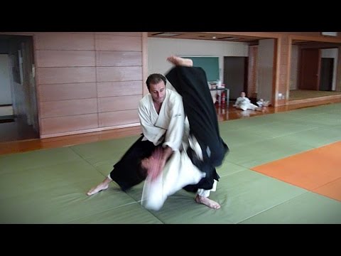 Aikido - Guillaume Erard in Tokyo (July 2013)