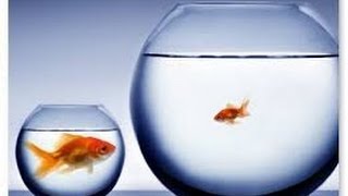 США 562: как энергия молодости вступила однажды в реакцию с мудростью старшего поколения