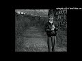 The Fall - It's A Curse (John Peel 93-04-17)