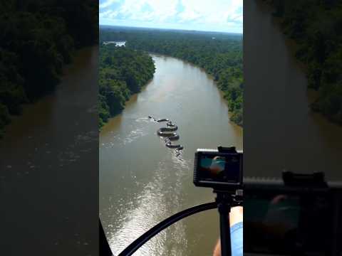 Dünyanın en büyük Yılanı #snakevideo #anakonda @CoComelon @Pinkfong @trtcocuk