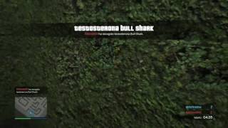 LAS TINIEBLAS EN EL LABERINTO GTA5