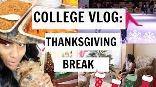 VLOG: Thanksgiving break, birthday continuation, christmas decoration #9