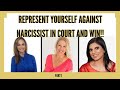 REPRESENT YOURSELF AGAINST NARCISSIST IN COURT ONE MOM S BATTLE W TINA SWITHIN AND DR RAMANI