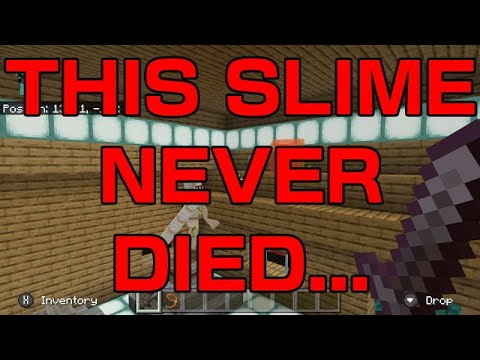 Slime GLITCH in Minecraft