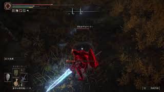 ［ELDEN RING＃20］ゲルミア登山！目指せ火山館！［死にゲー］