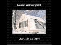 Loudon Wainwright III - last man on earth