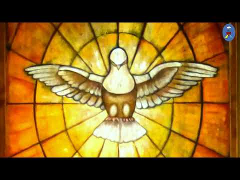 Pustelnia 31.05.2020 - Kazanie