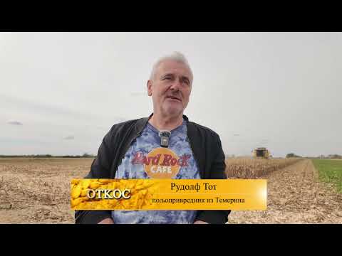 SOKANTNI REZULTATI u susnoj godini – Evo koji hibridi su pobedili!