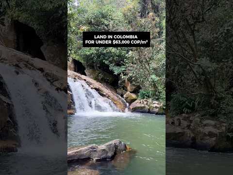 Land for sale in Concepcion, Antioquia