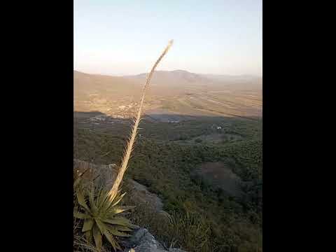 Rumbo a la joya San Ciro de Acosta S.L.P. 🤩🤩🤩